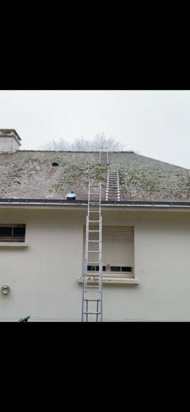 Démoussage toiture à Bouguenais